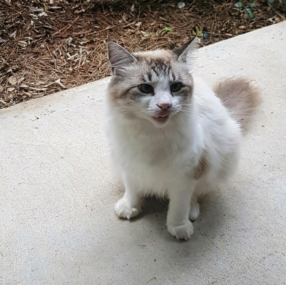 Meet your Posher, Tamara